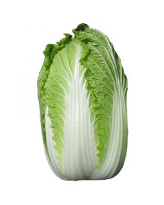 Chinese cabbage / kg | 中国大白菜 (称重)