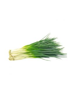 Spring onion 100g/pkt | 新鲜 香葱 100g/把