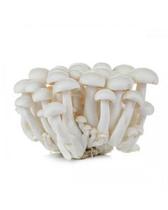 White beech mushroom / shimeji 150g | 新鲜 白玉菇 150g