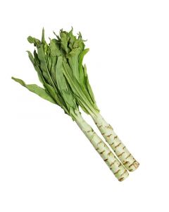Wo Sun / Asparagus Lettuce 1kg | 新鲜 莴笋 1kg