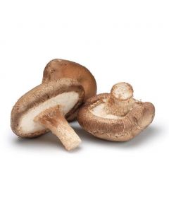 Shitake mushroom 125g | 新鲜 花菇 125g