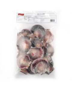 Scallop with half shell 20-30 1kg | 扇贝 (半壳) 20-30 1kg