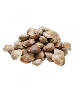 Cooked Brown Clam 40/60 1kg | 熟棕蛤 40/60 1kg